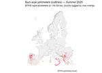 Wildfire dynamics in Europe, Summer 2025