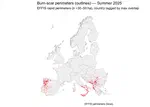 Wildfire dynamics in Europe, Summer 2025